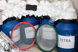 PC desarticula laboratório de drogas em Ipitanga e faz apreensões em condomínio de luxo de Lauro de Freitas