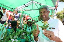 Governador entrega reforma do mercado municipal de Itacaré, inaugura obras e autoriza novos investimentos