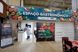 Mercado do Rio Vermelho reúne chefs de todo o Brasil e da Bahia para evento gastronômico
