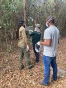 Inema e Divep investigam surto de cinomose em cães domésticos na região de Palmeiras