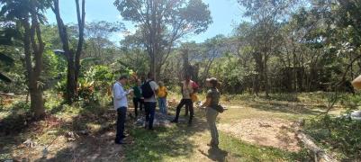 Inema e Divep investigam surto de cinomose em cães domésticos na região de Palmeiras