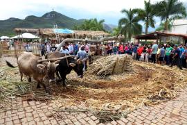 Érico Cardoso celebra a cultura com inauguração do novo centro cultural e melhorias na infraestrutura