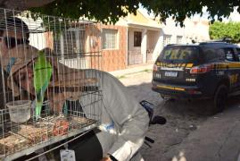 WhatsApp Image 2023-11-09 at 08.10.46