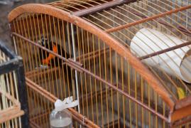 WhatsApp Image 2023-11-09 at 08.10.47 (1)