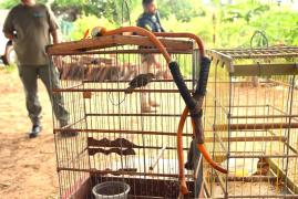 WhatsApp Image 2023-11-09 at 08.10.50