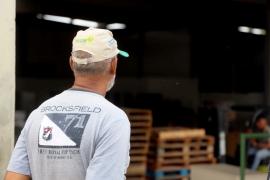 Produtos genuínos de cooperativas da agricultura familiar da Bahia são exportados para Portugal