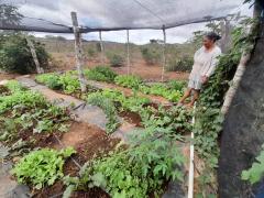 Quintais produtivos trazem renda e autoestima a mulheres agricultoras de Iraquara