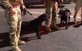 Três homens são presos durante Operação Pista Livre na BR-324