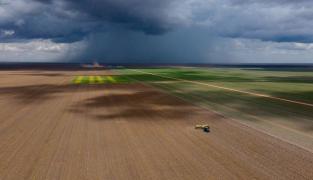 Plantio de soja no Oeste da Bahia está em fase de conclusão