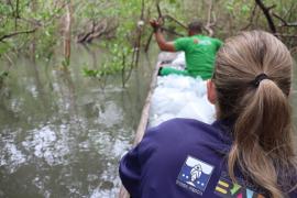 Bahia Pesca e UFRB oferecem oportunidade a recém-formados em ciências agrárias