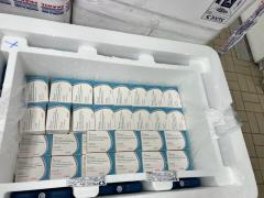 Divulgação Sesab (2)