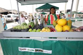 Fotos Mateus PereiraGOVBA (8)