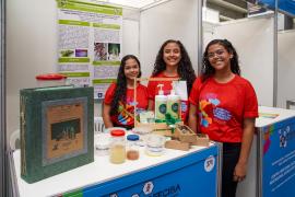 Estudantes de Boquira desenvolvem produtos capilares à base de aloe vera e alecrim