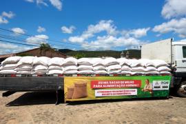 entregas sacas de milho manoel vitorino