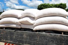 WhatsApp Image 2024-02-14 at 14.35.21 (2)