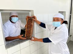 WhatsApp Image 2024-02-23 at 10.42.26