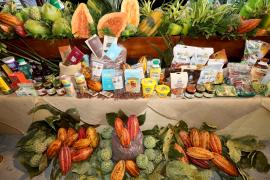 Foto Mateus PereiraGOVBA