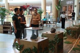 Em duas semanas, exposição do MGB no Salvador Shopping atinge mais de 22 mil visitantes