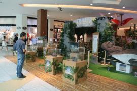 Em duas semanas, exposição do MGB no Salvador Shopping atinge mais de 22 mil visitantes