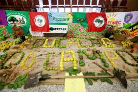 Fotos: Feijão Almeida:GOVBAApp Image 2024-03-01 at 10.43.40