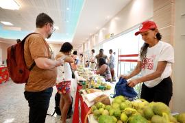 Fotos: Feijão Almeida:GOVBAApp Image 2024-03-01 at 11.29.10