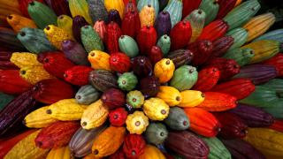 Fotos: Matheus Landim:GOVBAApp Image 2024-03-14 at 20.57.47