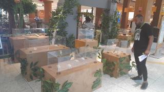 WhatsApp Image 2024-03-04 at 16.00.34