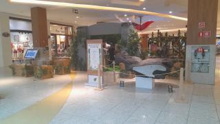 WhatsApp Image 2024-03-04 at 16.00.35 (1) - Cópia