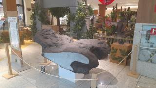 WhatsApp Image 2024-03-04 at 16.00.35