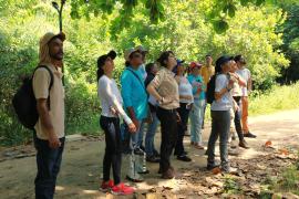 Servidores do Inema recebem capacitação para identificação de estágios sucessionais