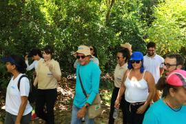 Servidores do Inema recebem capacitação para identificação de estágios sucessionais