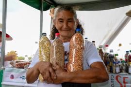 guardiães de sementes 7