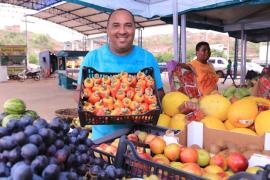 SDR e Seagri realizam seminário sobre fruticultura em Ribeira do Pombal