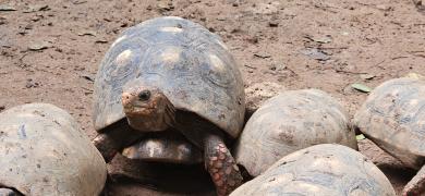 thumbnail_20240305_084348