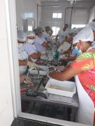 Capacitação transforma pescadores em empreendedores de agroindústria em comunidade de Pilão Arcado