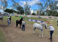 Eventos de negócios movimentam zonas turísticas da Bahia Foto Tiago Queiroz Ascom SeturBA