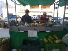 Feira Agroecológica de Campo Alegre de Lourdes gera renda e fortalece agricultura do município
