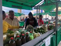 Feira Agroecológica de Campo Alegre de Lourdes gera renda e fortalece agricultura do município
