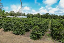 Foto-Geraldo-Carvalho-ASCOM-CAR-5