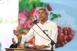 Programa \"Comida no Prato\" é lançado na Bahia para distribuir 2,2 milhões de refeições