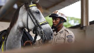 Fotos Matheus LandimGOVBA (5)