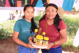 Edital impulsiona apicultura e meliponicultura na Bahia