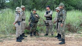 Polícias Militar e Federal desmontam plantação que geraria 1 tonelada de maconha