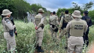 Polícias Militar e Federal desmontam plantação que geraria 1 tonelada de maconha