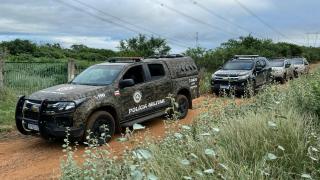 Polícias Militar e Federal desmontam plantação que geraria 1 tonelada de maconha