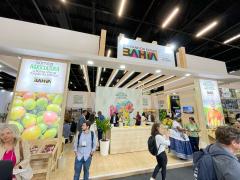 WhatsApp Image 2024-04-16 at 14.03.49 (3) - Cópia