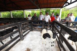 Colégio de educação do campo é modernizado e conta com modelo de ensino integral em Andorinha