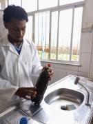 Estudante utiliza borra de café para produzir biofertilizante