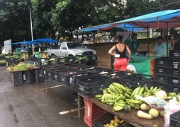 Cesta Básica de Salvador fecha março com alta de 1,72%