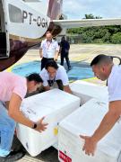 Municípios começam a receber vacinas contra dengue nesta terça-feira após redistribuição